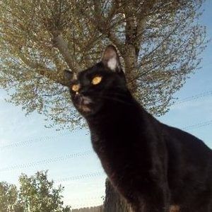 Meet your Posher, Leanna